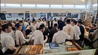 שמחה וריקודים בסיום מסכת "סוכה" של ר' אסף נעמן הי''ו