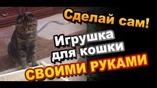 Смотреть онлайн Игрушка для котенка из деревянных брусков