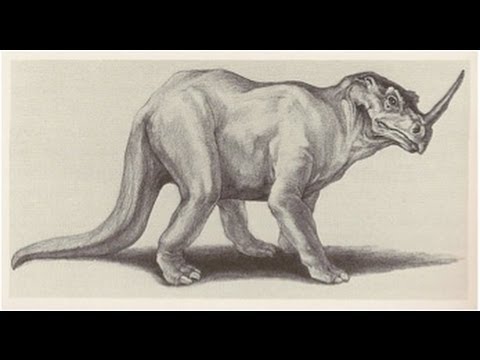 5 Monsters You've Never Heard of That Still May Exist