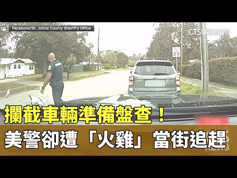攔截車輛準備盤查！　美警卻遭「火雞」當街追趕