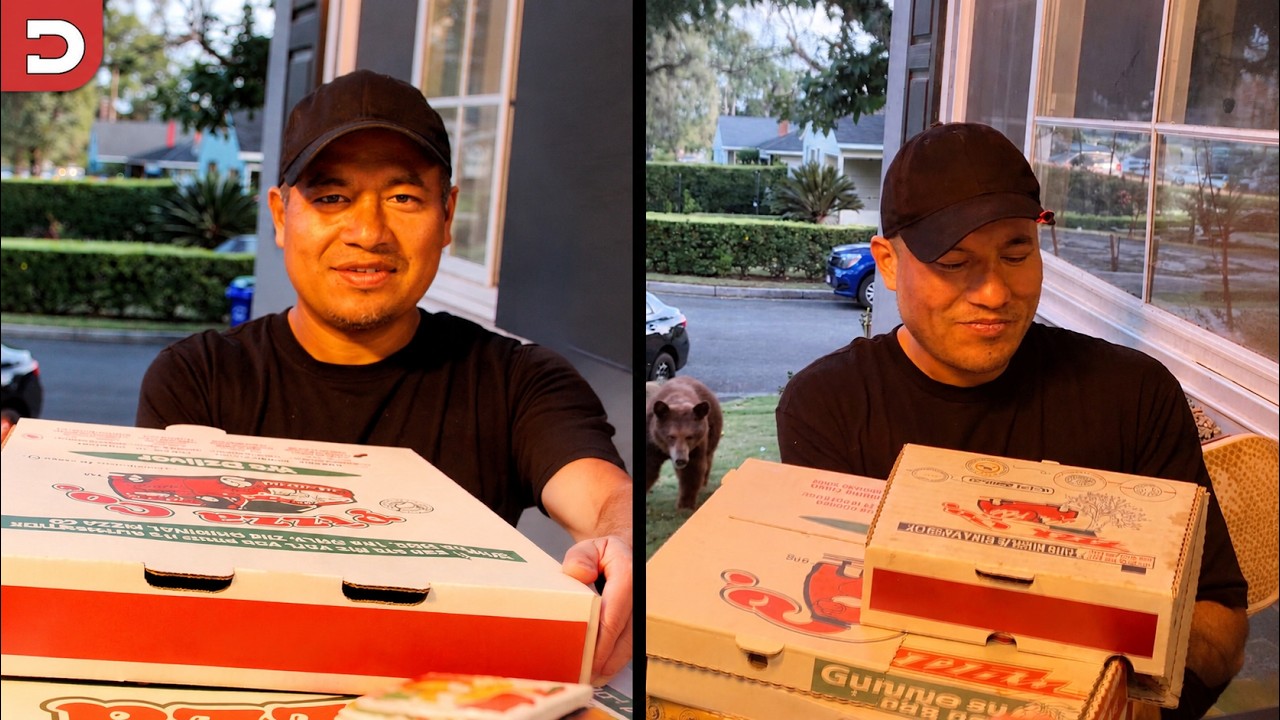 Bear Sneaks Up on Delivery Guy
