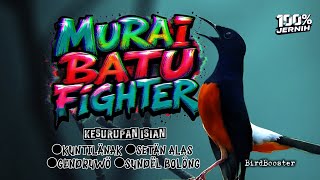 Download lagu 12 JAM NONSTOP!! MASTERAN MURAI BATU FULL ISIAN NEMBAK KASAR TAJAM TERAPI AIR mp3 Download lagu 12 JAM NONSTOP!! MASTERAN MURAI BATU FULL ISIAN NEMBAK KASAR TAJAM TERAPI AIR mp3