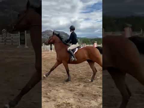 Charlie Sheen 9 video 1