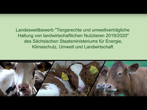 Wettbewerb Tiergerechte Haltung 2019/2020 in Sachsen – Sieger in der Kategorie Kälberhaltung