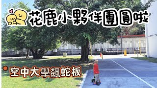 《友你真好》202510/空中大學野餐趣/第一次野餐看到三盒披薩/第一次玩安全躲避飛盤/雙寶蛇板愛不釋手/然後許願池發光吧