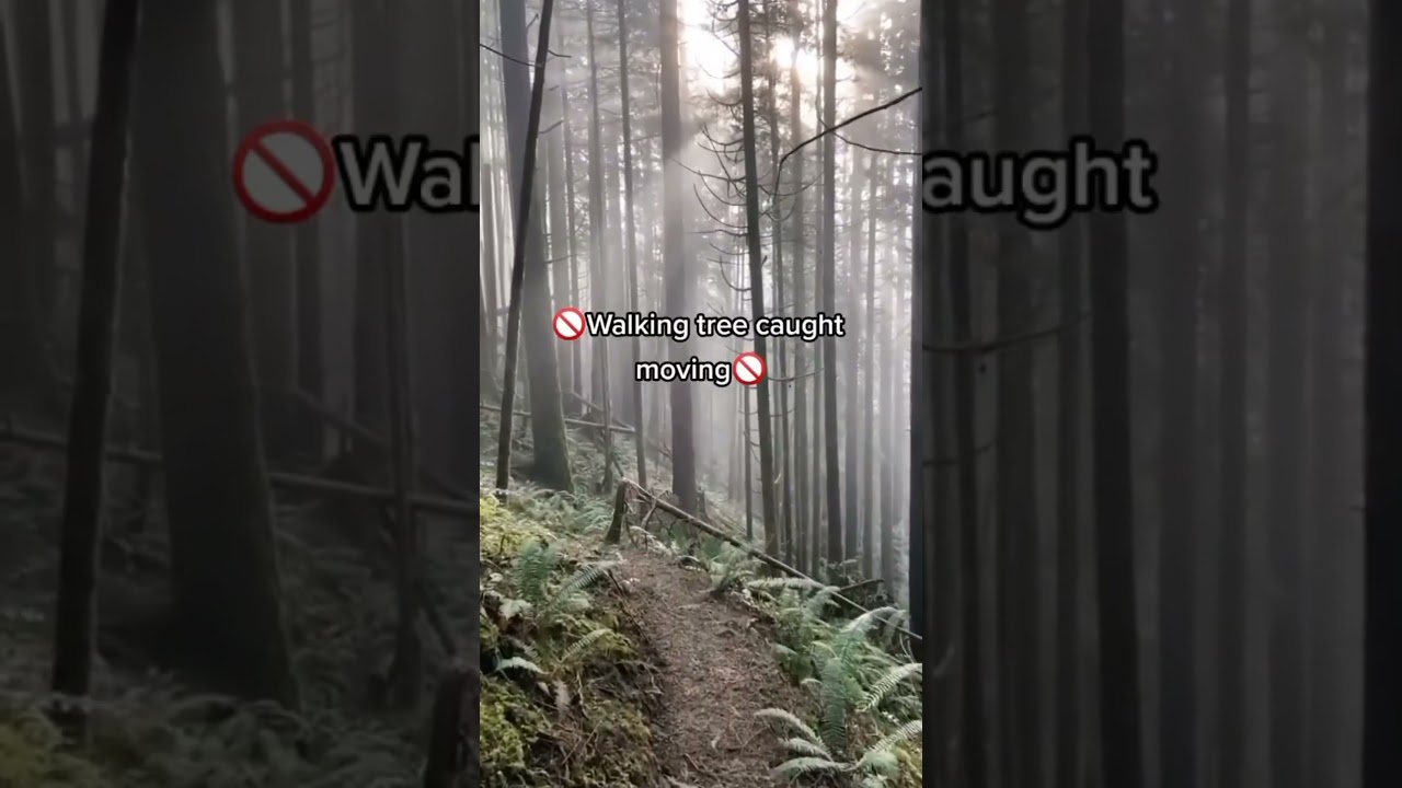 Trees Caught Moving 😱 #shorts