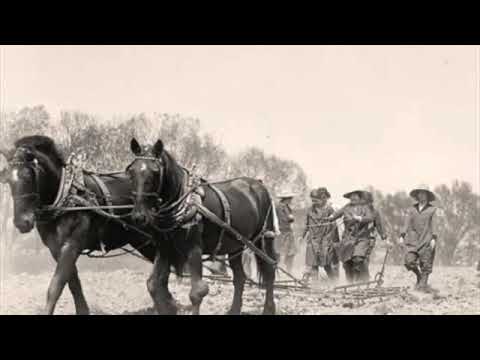 Progressive Rock Mix by Universal Radio - Radio Signals - Volume 06