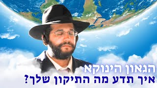 איך תדע מה התיקון שלך בעלם? הגאון הינוקא בשיעור חובה לכולם