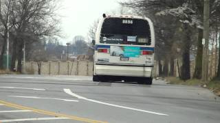 preview picture of video 'MTA NYCT Bus: 1996 Nova-RTS B83 Bus #8856 at Gateway Plaza-Erskine St'