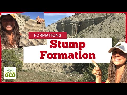 STUMP FORMATION - with Belemnite Fossils! (Jurassic)