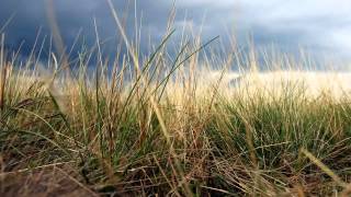 Download lagu Utopia-Maya Percintaan dgn lirik.wmv mp3