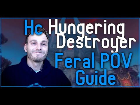 Hungering Destroyer - Heroic Castle Nathria Feral POV Guide - Psybearslat
