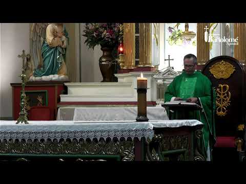EN VIVO | Santa Eucaristía: ¡Qué grande es tu fe! | Miércoles 18º T.O.