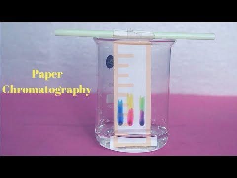 PAPER CHROMATOGRAPHY 📊 || Science Experiments ⚠ || Chemistry 💊