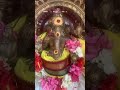 Divine Trending Youtubeshorts Reals November 9 Virolshort