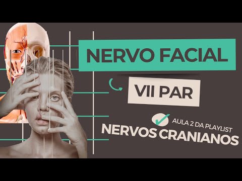 Anatomia do nervo Facial (VII par de nervos cranianos)