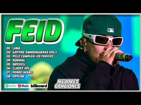 Feid Mix Éxitos 2024 - Lo Más Popular de Feid 2024