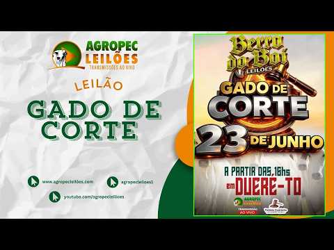 Agropecleiloes LEILÃO GADO DE CORTE | BERRO DO BOI LEILÕES - DUERÉ -TO - 23/06/2026.