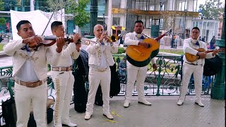 El son de la negra arranquese mariachi si señor