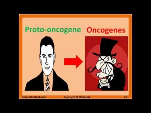 Oncogenes & Tumor Suppressor Genes Bax P53 MYC Bcl-2 BRCA Trastuzumab Rb