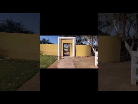 The beauty of Ajmal Arabian Stud ❤️. @arabian horses@ Kuwait @nature @winter@gulf