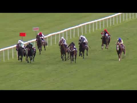 3. dostih - CENA EXPOBANK - dostihy Velká Chuchle 28. 4. 2019