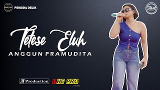 Download lagu Tetese Eluh Anggun Pramudita One Pro Pemuda Delik mp3