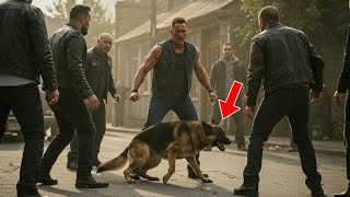 A Man Fought Off a Gang for a Stray Dog—But What The Dog Did Next Was Shocking