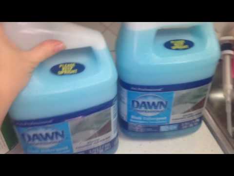 download lagu mp3 mp4 Clean Carpet With Vinegar And Dawn, download lagu Clean Carpet With Vinegar And Dawn gratis, unduh video klip Clean Carpet With Vinegar And Dawn