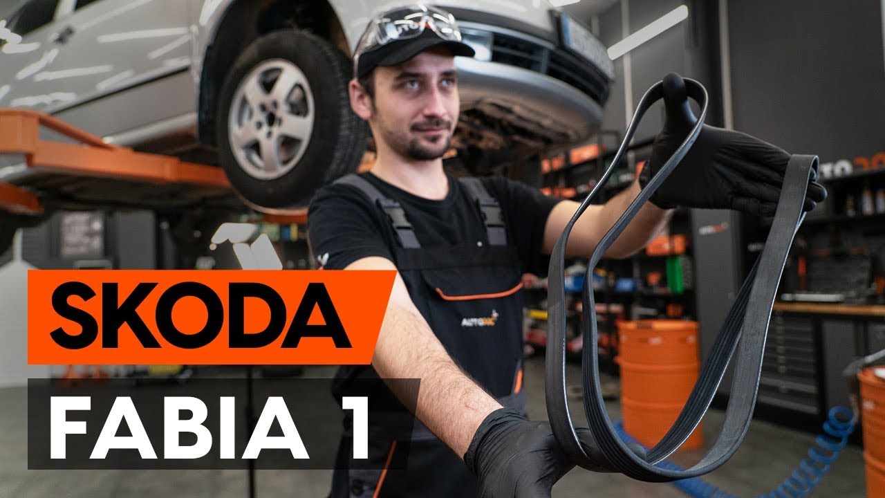 Byta multirem på Skoda Fabia 6Y5 – utbytesguide