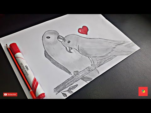 رسم سهل تعليم الرسم ببغاء خطوة بخطوة بقلم الرصاصرسومات rosoumate