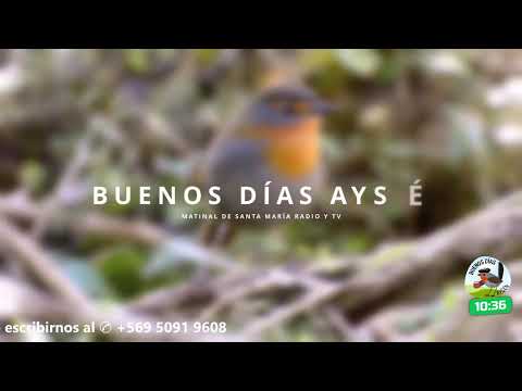 BUENOS DÍAS AYSÉN | 02 DE JUNIO