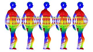 Visible Cloaks & Brenna Murphy - Permutate Lex