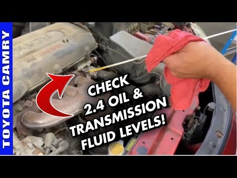 2006-2011 Toyota Camry 2.4 Oil And Transmission Fluid Level Check