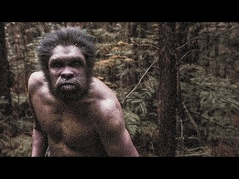 DISTURBING FERAL HUMAN CAUGHT ON TRAIL CAM!