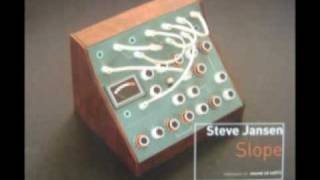 Playground Martyrs - Steve Jansen