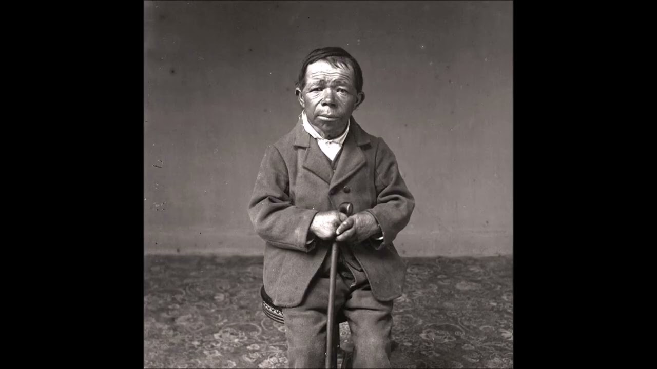 A VERY OLD GHOST BEHIND THE FARM - Canes Gothi ! [FULL ALBUM] 2026   (lyrics in 'pinned' comment)