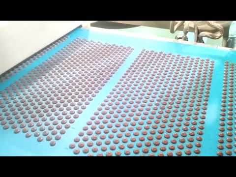 Chocolate Drops and buttons / Callets line