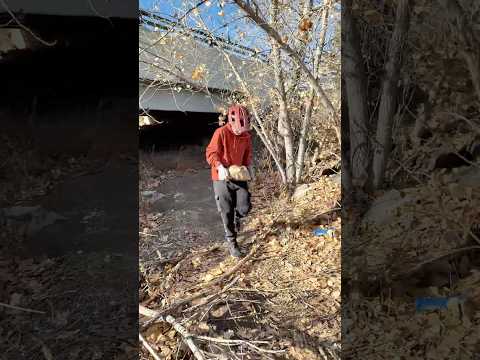 🪏 Building a massive dirt jump!!!  #mtb #dirtjumps #shorts