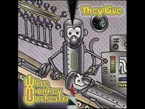 Waitress Song by Wise Monkey Orchestra on Robot Reality