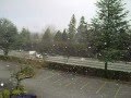 A Sunny Snowy Day
