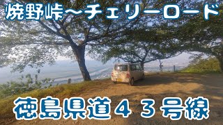 【焼野峠～HE21S Lapin🐇】徳島県道43号神山川島線