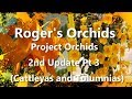 Project Orchids 2nd Update Pt 3