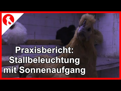 092  Hühnerstall Stallbeleuchtung Praxistest Tageslichtsteuerung - Jensman and the Huhns