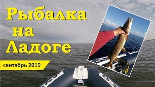 Рыбалка на ладожском озере осенью c берега