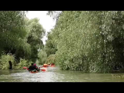 Excursie cu caiacele in Delta Dunarii