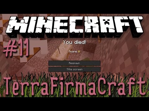Minecraft: TerraFirmaCraft - Episode 11