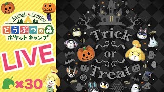 [ポケ森]ライブ#30 雑談しながらほのぼのスローライフ どうぶつの森ポケットキャンプ