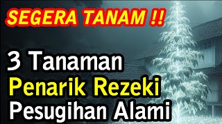 Download lagu SEGERA TANAM !! 3 Tanaman Penarik Rezeki, Pesugihan Alami dan Keberuntungan mp3