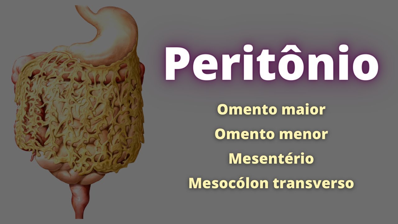 Peritônio - Fisiologia Humana